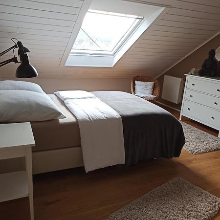 By Vollmer'S Komfortabel Und Chic Apartment Offenburg Bagian luar foto