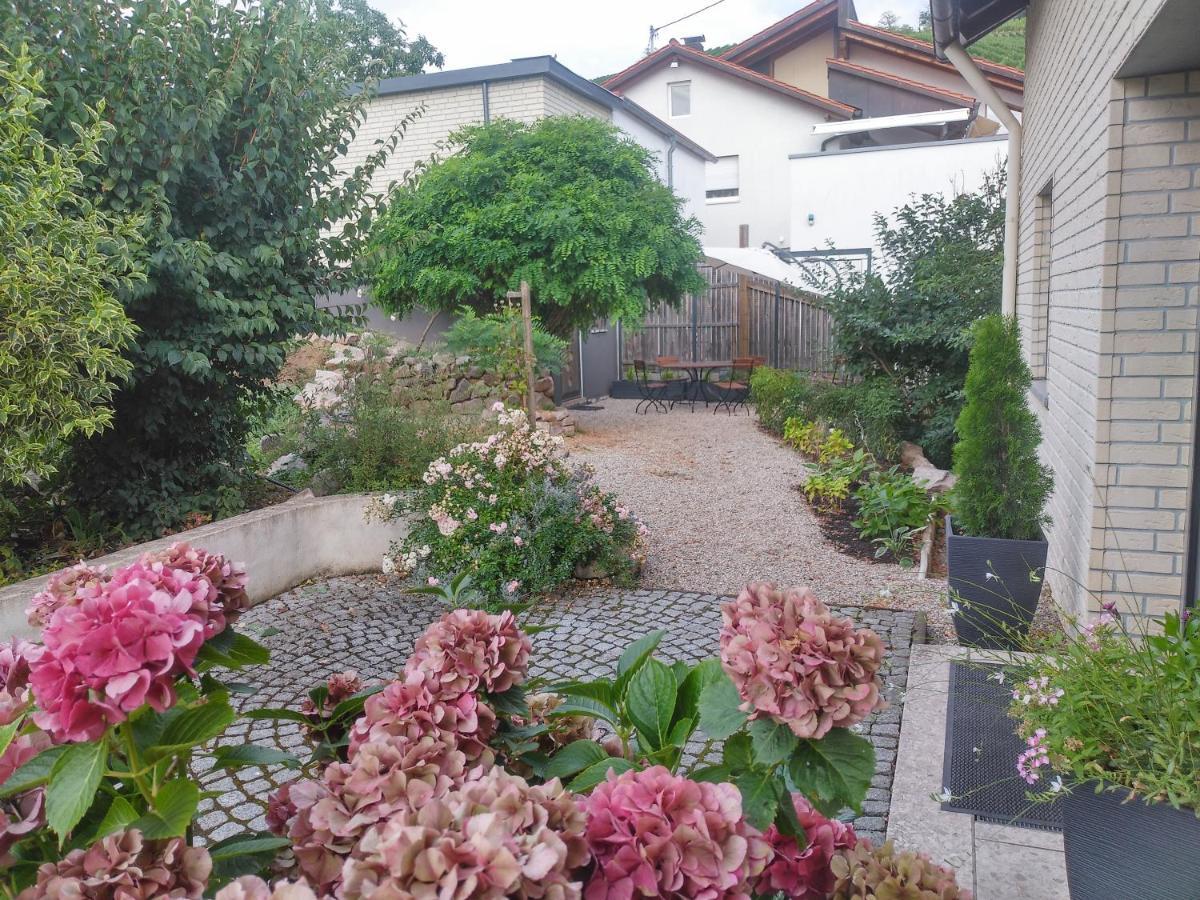 By Vollmer'S Komfortabel Und Chic Apartment Offenburg Bagian luar foto