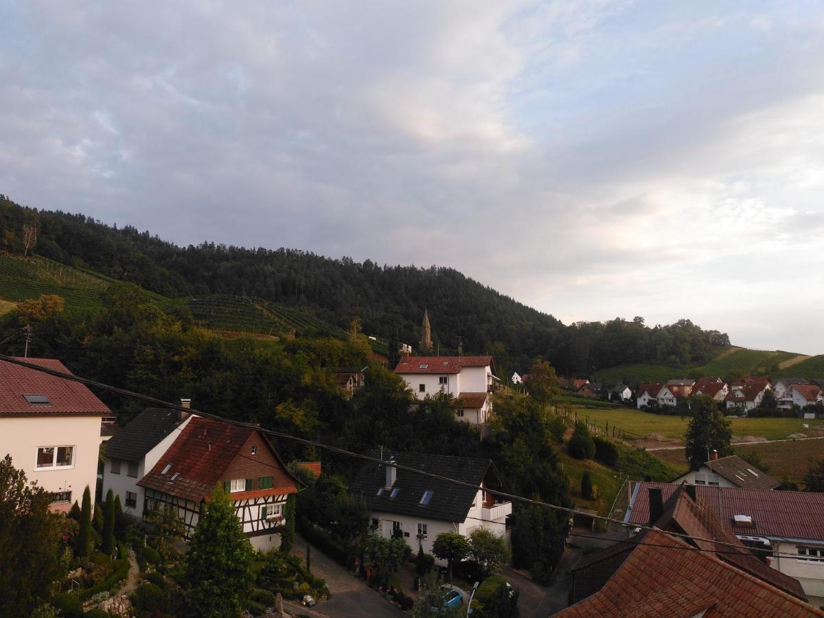 By Vollmer'S Komfortabel Und Chic Apartment Offenburg Bagian luar foto